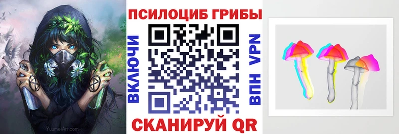 Галлюциногенные грибы Cubensis  Купить закладки  Туймазы 
